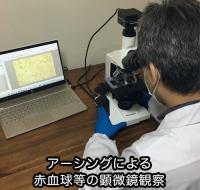 アーシング・ピュアチェアーマットCotton